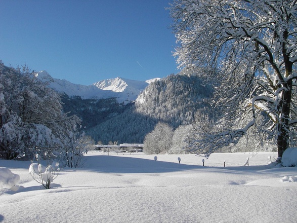 Unser Garten im Winter
