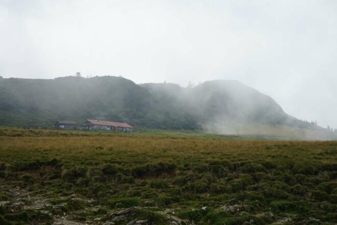 Rossalm im Herbst