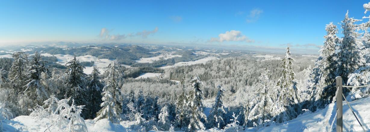 Blick nach St. Georgen am Walde