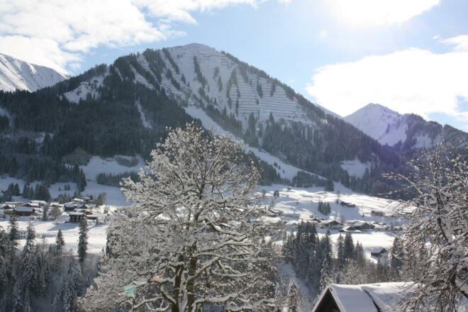 Blick auf die Gehrenspitze