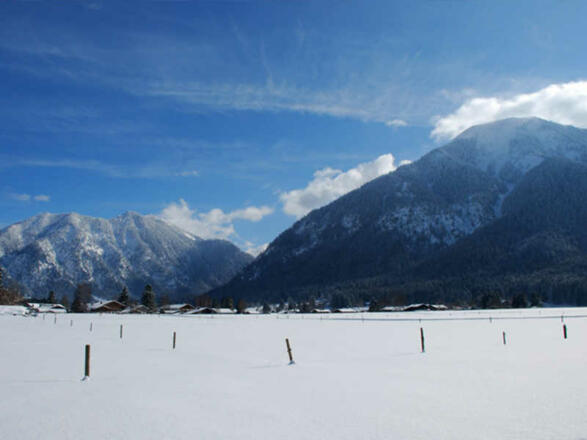 https://d1pgrp37iul3tg.cloudfront.net/objekt2_pics/obj_full_36312_003.jpg
