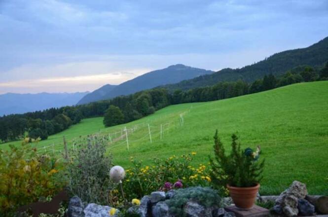 Blick vor dem Haus
