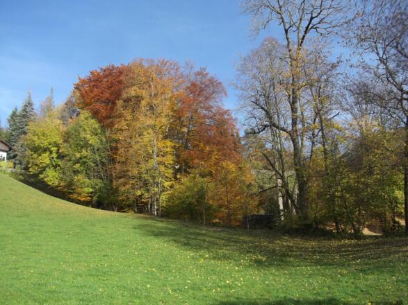 Blick von der Terrasse aus