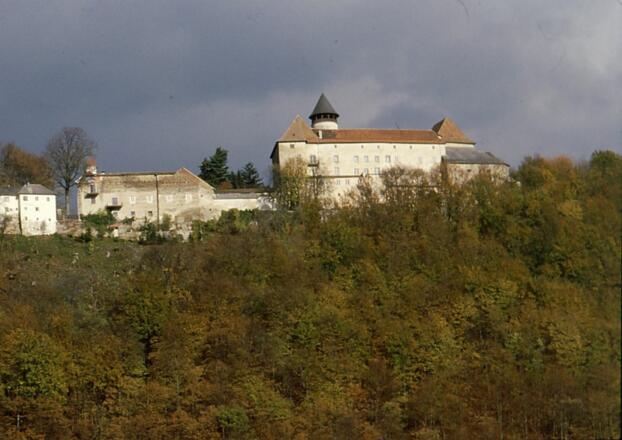 Schloß Rannariedl