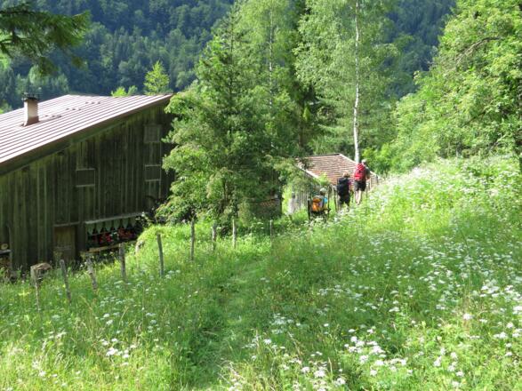 Im Großen Walsertal, wie hier am Wanderweg in der Nähe des Lutzbaches zwischen Sonntag und Garsella, können wir oft noch die Stille und Ruhe nachempfinden, welche schon in der zahlreich vorhandenen Reiseliteratur des 19. Jahrhunderts als wohltuend be