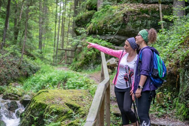 Herzklopfenrunde - Wolfsschlucht