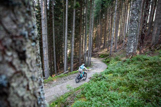 Einsame Wald- & Forststraßen, coole Trail-Passagen und ein atemberaubender Ausblick aufs Dachstein Massiv warten bei dieser Tour auf euch