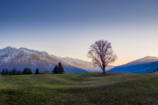 Panoramarunde