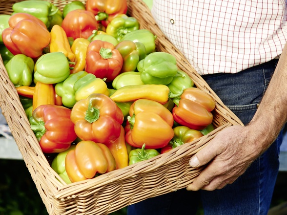Hofladen Haiß_Hartkirchen_151001_557©WGD Donau Oberösterreich Tourismus GmbH-Peter Podpera