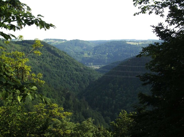 Blick zur Donau