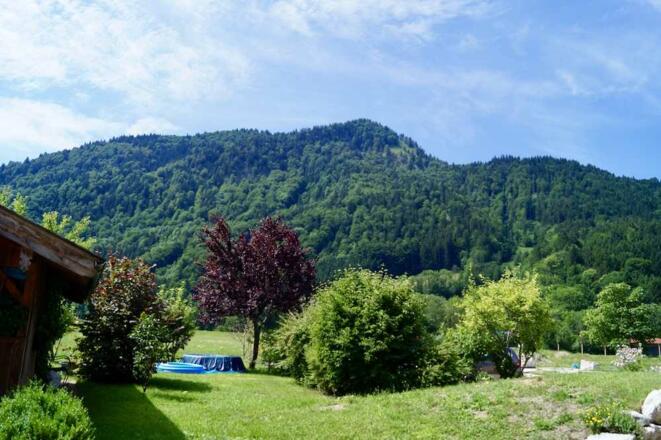 https://d1pgrp37iul3tg.cloudfront.net/objekt_pics/obj_full_31648_013.jpg