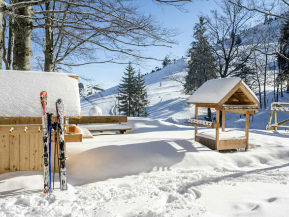 Blick auf die Skipiste von der Brösel Alm aus