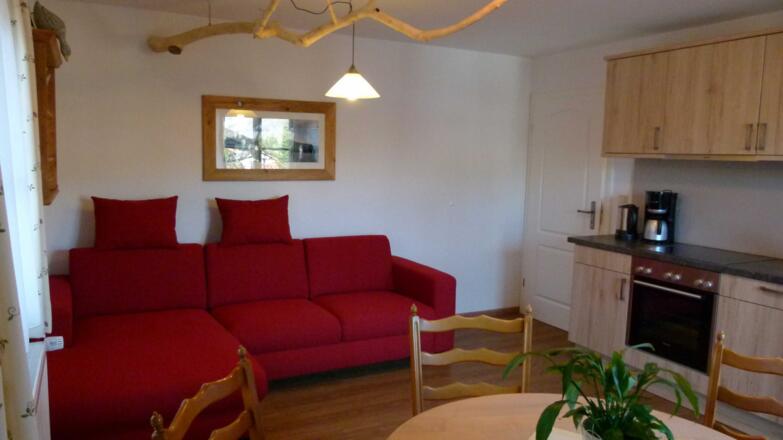Küche mit Wohnraum und Sofa (Schlaffunktion) und Balkontür in FeWo 1