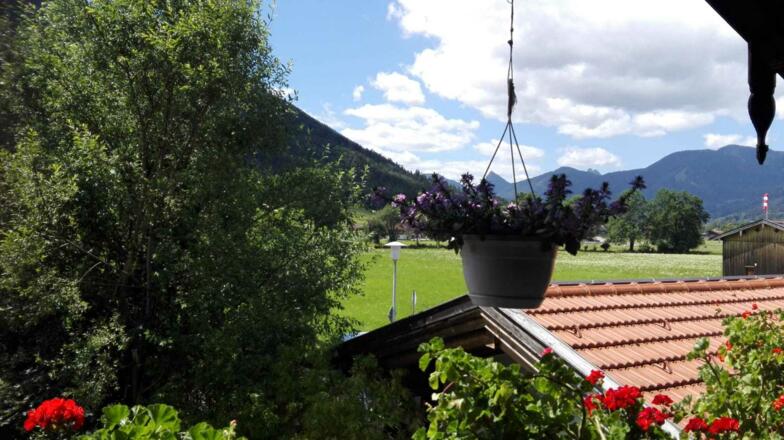 Ausblick