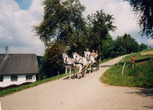 Pferdekutsche