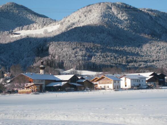 Winter