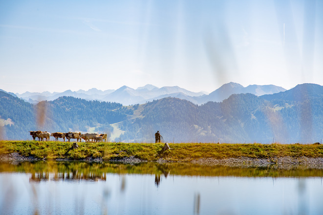 Bei tollen Anstiegen und einem grandiosen Bergpanorama zeigt sich das Skigebiet im Sommer bei der Frauenalm-Runde von seiner besten Seite