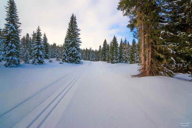 Höhenloipe Dorfberg