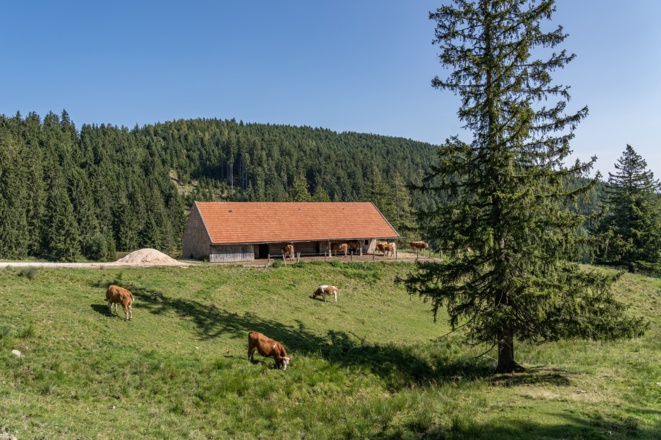 Stall auf der Stoißer Alm