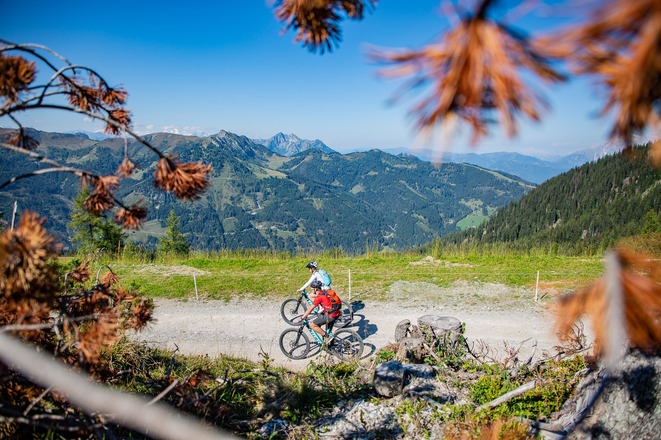 Bei tollen Anstiegen und einem grandiosen Bergpanorama zeigt sich das Skigebiet im Sommer bei der Frauenalm-Runde von seiner besten Seite