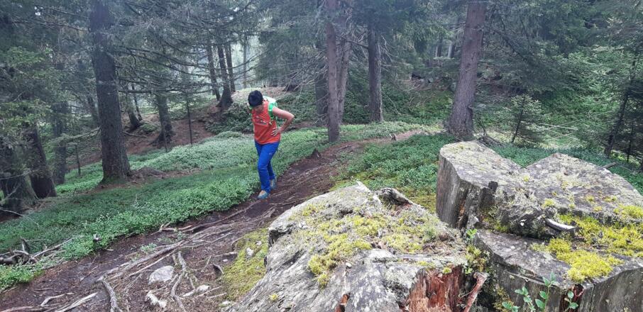 Nach ca. 400 Hm erreichen wir die Brandstattalm (1828 m).