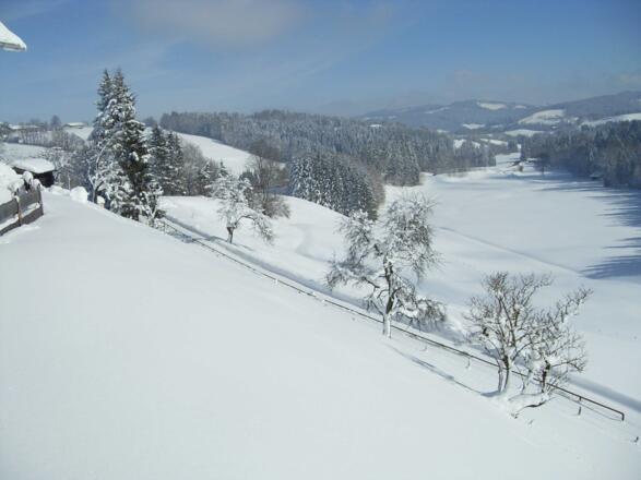Ausblick