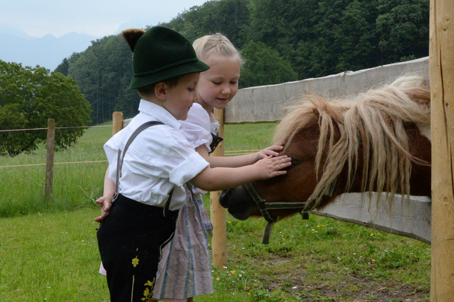 Streichelponys für die Kinder