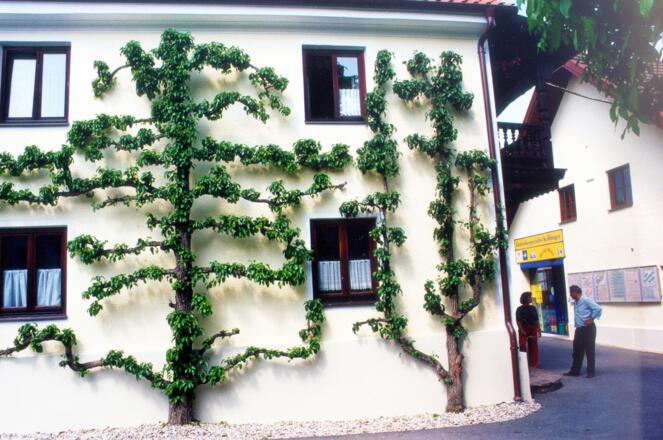 außenansicht_gerechnet