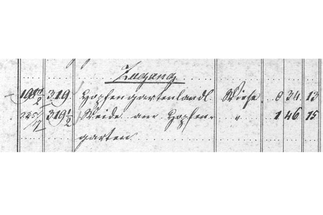 fl.-nr.-319-hopfengartenlandl-fl.-nr.-319-weide-am-hopfengarten