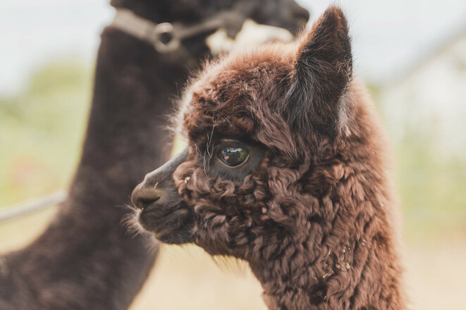 10078-190817-1228 (1)