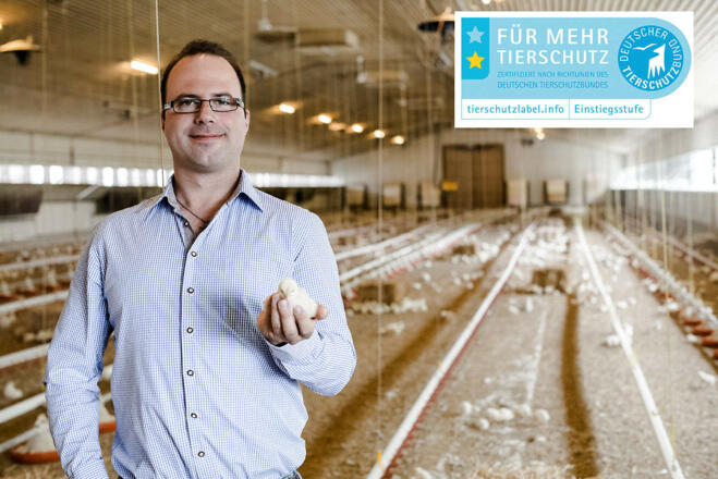 Schemmer-Tierschutz
