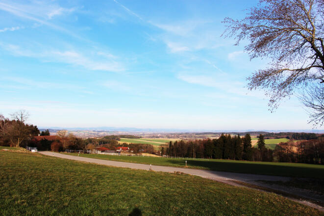 img_7807_fuchsoed_rottalblick_drost