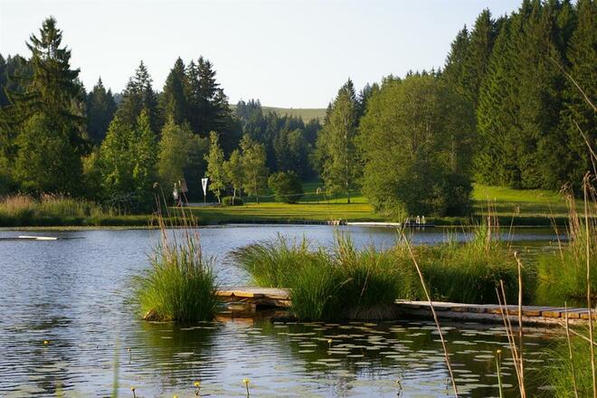 BZ-Faulensee-Blick-Bad