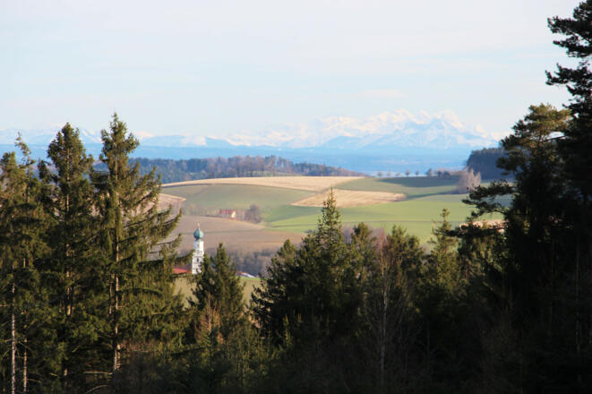 img_7795_fuchsoed_alpensicht_drost