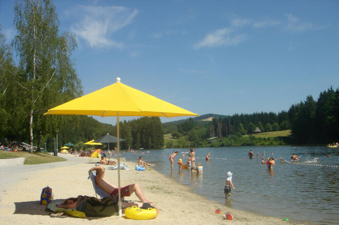 bild-19244690