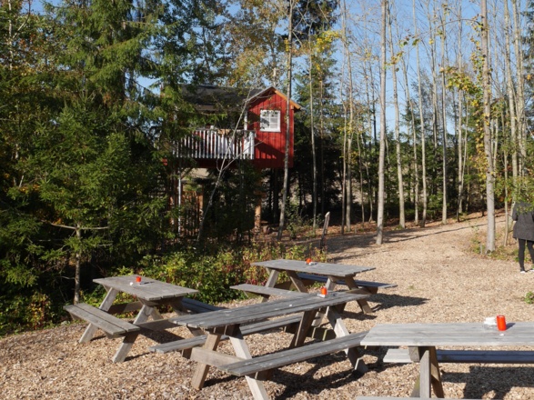 Bänke bei Baumhaus