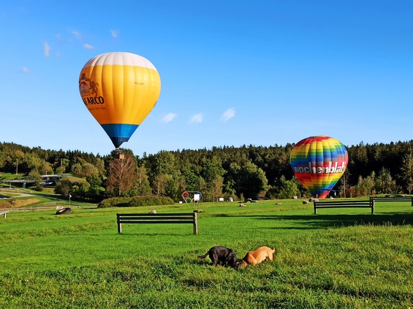 Heißluftballone Wiese