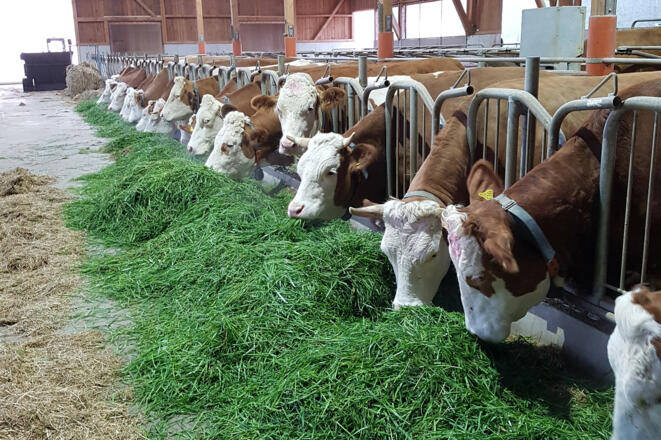 2017-04-10 06.42.48_b