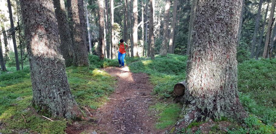 Der Wanderweg zur Largozalm ist ...