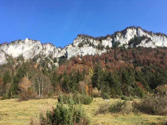Niederkaiserkamm