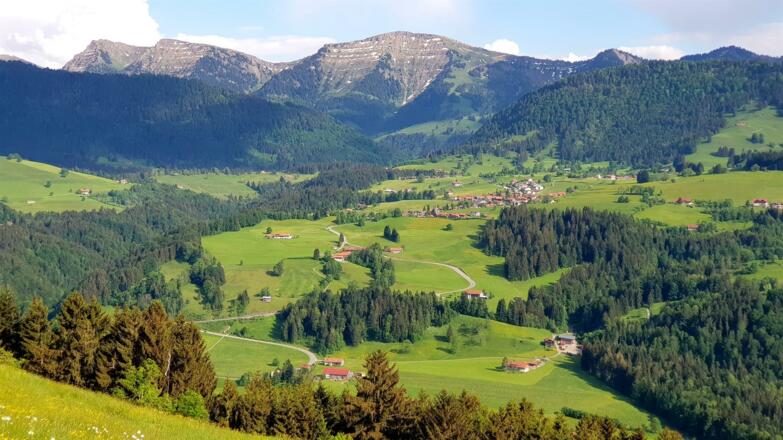 Blick von Oberstaufen Richtung Hochgrat Sommer