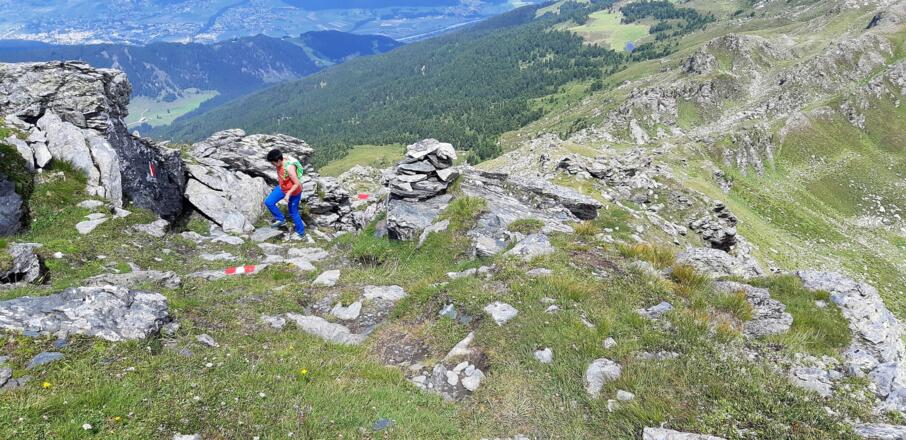 Perfekt markiert - der Anstieg zum Haneburger.