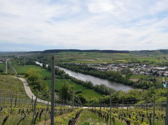 Blick auf Zellingen in Richtung Würzburg