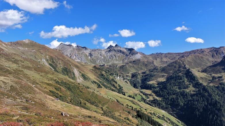 Blick zurück auf unsere Rundtour und die Tarntaler Köpfe (links). Rechts hinten markant - Lizumer und Naviser Reckner.