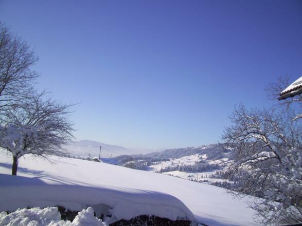 Aussicht Schweiz