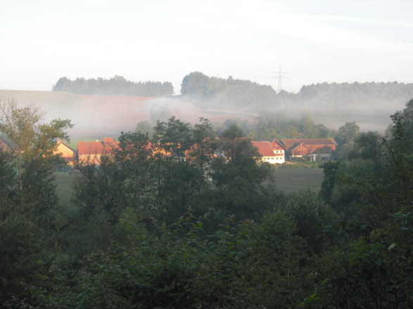 Morgennebel
