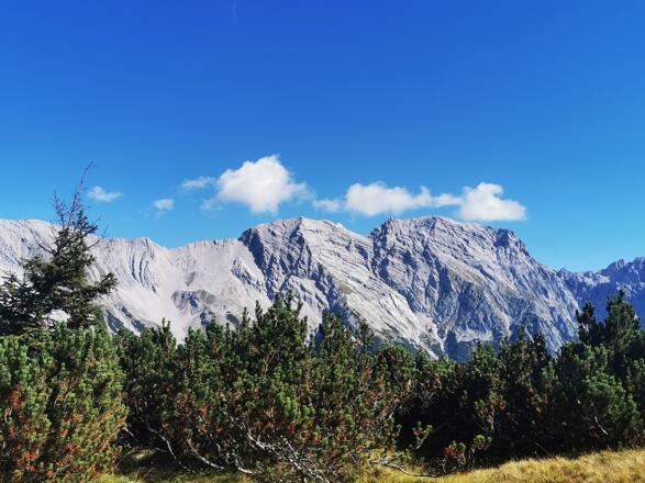 Blick auf die Bettelwürfe