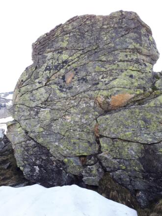 Hohe Wand