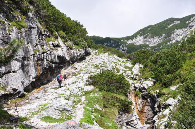Immer auf gut markiertem Weg an beschriebener Felsrippe entlang