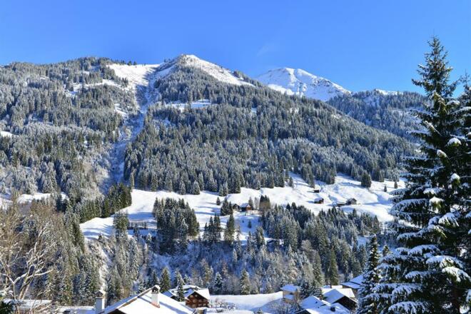 Ausblick im Winter II